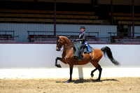 Class 102 - Arabian Ladies Side Saddle/ATR
