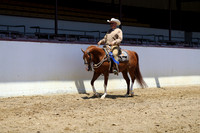 Class 105 - HA Western Pl/Jr Horse 5 & Under
