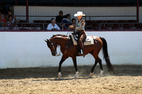 Class 117 - Arabian Western Pl/Open