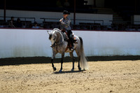Class 28 - HA Western Pl/Limit Horse