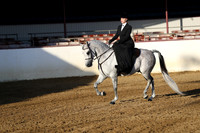 Class 124 - Arabian Ladies Side Saddle/ATR