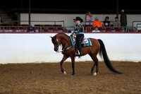 Class 131 - Arabian Western Pl/AATR Choice/Elite