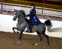 Class 132 - Arabian Country English Pl/Limit Horse