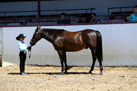 Class 23 - Youth Showmanship 18 Yrs & Under