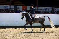 Class 32 - HA Hunter Pl/Jr Horse