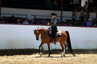 Class 34 - Arabian Western Pl/Mares & Geldings