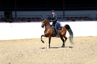 Class 36 - Arabian English Pl/Open