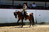 Class 37 - Arabian Western Pl/JOTR 18 Yrs & Under