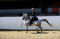 Class 39 - HA Country English Pl/Jr Horse