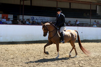 Class 41 - Arabian Hunter Pl/Maiden Horse