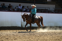 Class 44 - Arabian Western Pl/Limit Horse