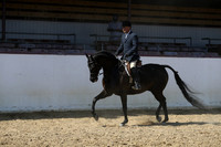 Class 48 - HA Hunter Pl/Open