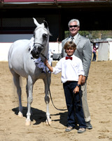 Class 13 - Arabian Mares Championship