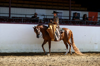 Class 52 - HA Ladies Side Saddle/Open
