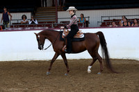 Class 57 - Arabian Western Pl/Ladies to Ride