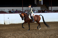 Class 58 - Arabian Hunter Pl/AOTR