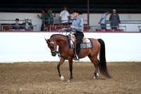 Class 60 - Arabian Western Pl/Gentlemen to Ride