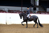 Class 152 - HA Hunter Pl/Ladies to Ride