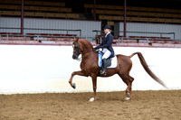 Class 153 - Arabian English Pl Show Hack/JTR 18 Yrs & Under