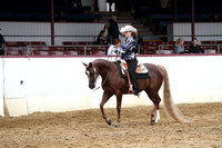 Class 163 - HA Western Pl/Ladies to Ride