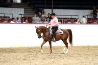 Class 167 - Arabian Western  Pl/Jr Horse