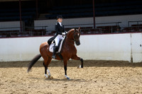 Class 169 - HA English Show Hack/JTR 18 Yrs & Under