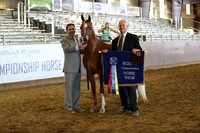 Class 208 - Arabian Mare Breeding/2 Yrs & Over