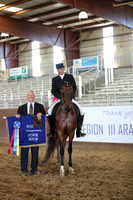 Class 211 - HA English Show Hack Championship