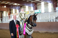 Class 229 - Arabian Mounted Native Costume