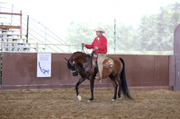 Western