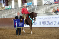 Class 241 - HA Western Pl/Jr Horse 5 Yrs & Under