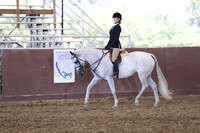 Equitation/Horsemanship