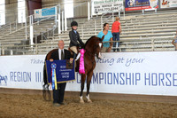 Class 244 - Hunter Seat Equitation Not to Jump/JTR 13 Yrs & Under
