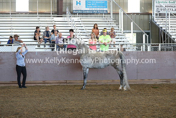 R317_Class260_8619