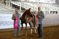 Class 260 - Arabian Mare Breeding/2 Yrs & Over AOTH