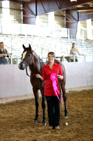 Class 261 - Arabian Stallion Breeding/2 Yrs & Over ATH