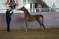 R317_Class259_8550
