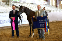 Class 264 - Arabian Mare Championship/2 Yrs & Over ATH