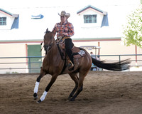 Reining