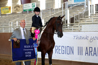 Walk/Trot/Walk/TrotEquitation