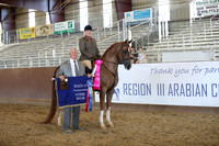 Class 283 - Arabian Hunter Pl/AATR Primetime