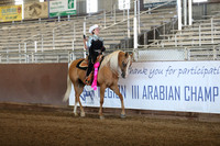 Class 284 - Western Horsemanship/JTR 14-18 Yrs