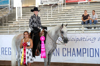 Class 286 - Western Horsemanship/AATR 19 Yrs/Over