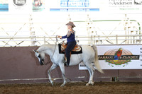 Class 291 - Arabian Western Pl/AAOTR 19-49 Yrs