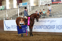 Class 289 - HA Hunter Pl/AATR Choice/Elite