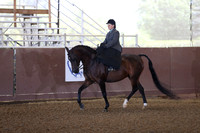 Class 294 - Arabian Ladies Side Saddle Championship