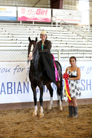 Class 300 - HA Ladies Side Saddle Championship