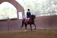 Class 301 - HA Hunter Pl/JTR Choice/Elite