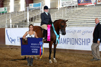 Class 304 - Arabian Hunter Pl/JOTR 13 Yrs & Under