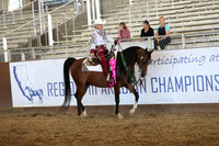 Class 302 - Arabian Western Pl/AAOTR 50 Yrs/Over